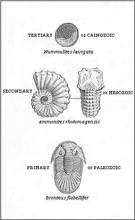 Tertiary or Cainozoic, Secondary or Mesozoic, Primary or Paleozoic