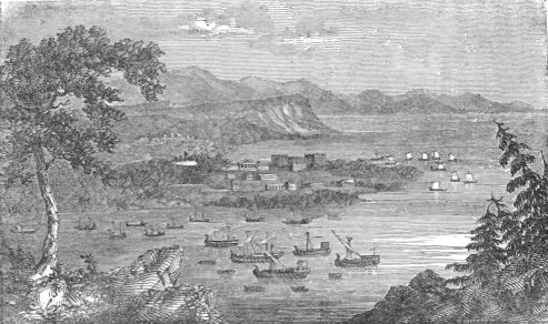 THE PIRATES AT ANCHOR