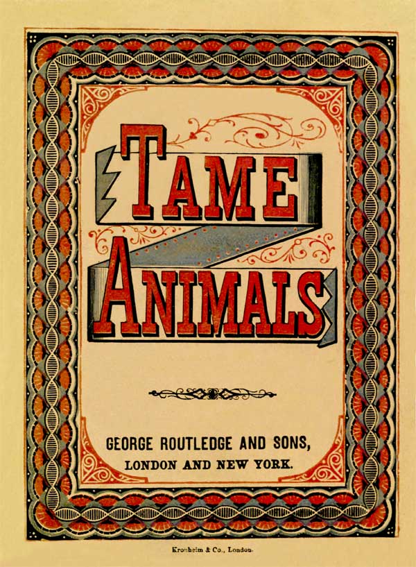 Tame Animals