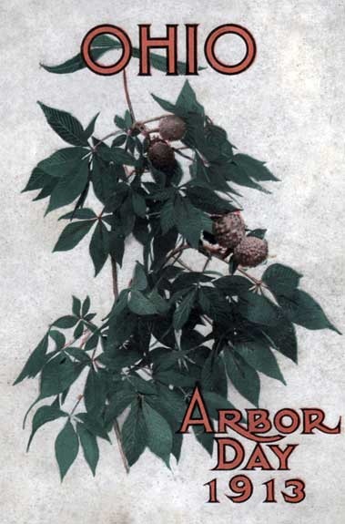 Ohio Arbor Day 1913: Arbor and Bird Day Manual&#10;Issued for the Benefit of the Schools of our State