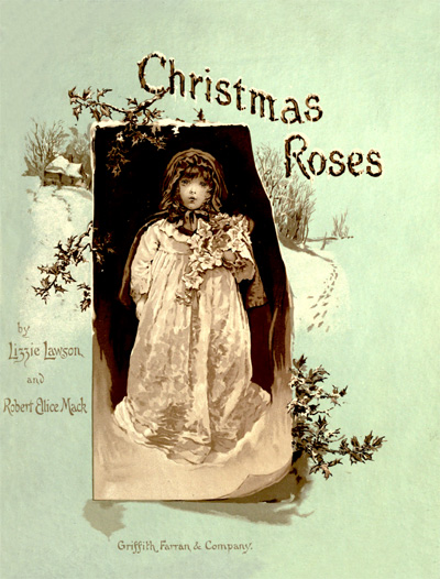 Christmas Roses