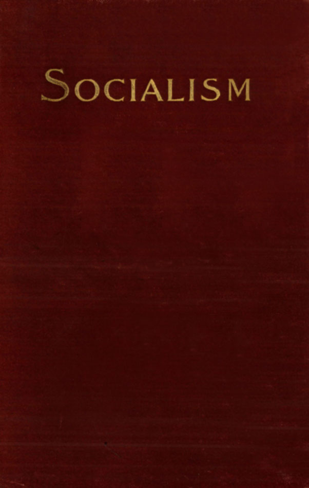 Socialism and the Social Movement in the 19th Century