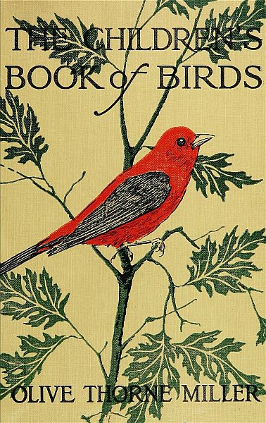 The Children's Book of Birds