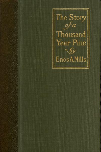 The Story of a Thousand-Year Pine