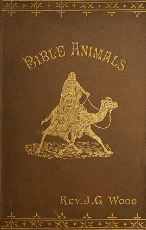 Bible Animals;&#10;Being a Description of Every Living Creature Mentioned in the Scripture, from the Ape to the Coral.