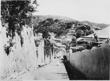 WHERE THE POMEGRANATE GROWS CHARLOTTE AMALIE, ST THOMAS.