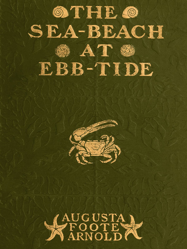 The Sea-beach at Ebb-tide&#10;A Guide to the Study of the Seaweeds and the Lower Animal Life Found Between Tide-marks
