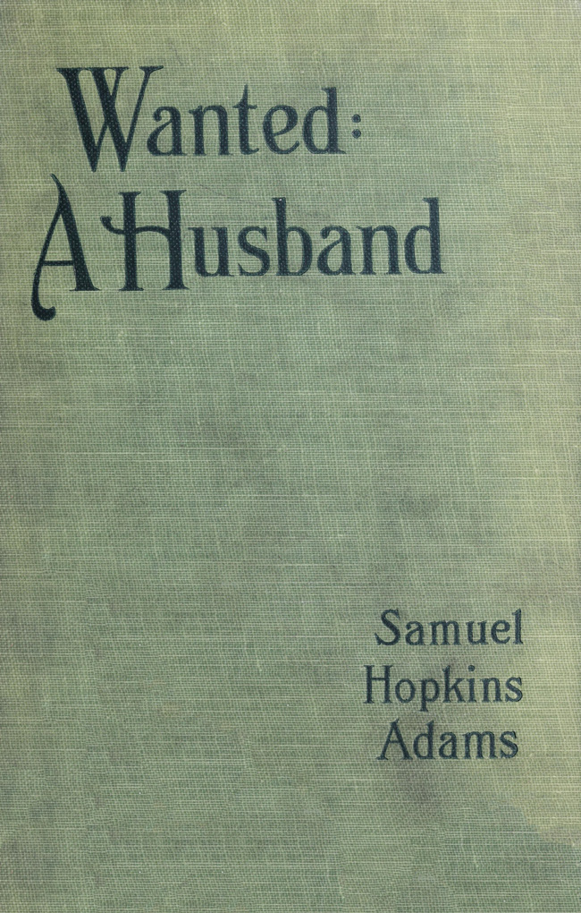 Wanted: A Husband. A Novel