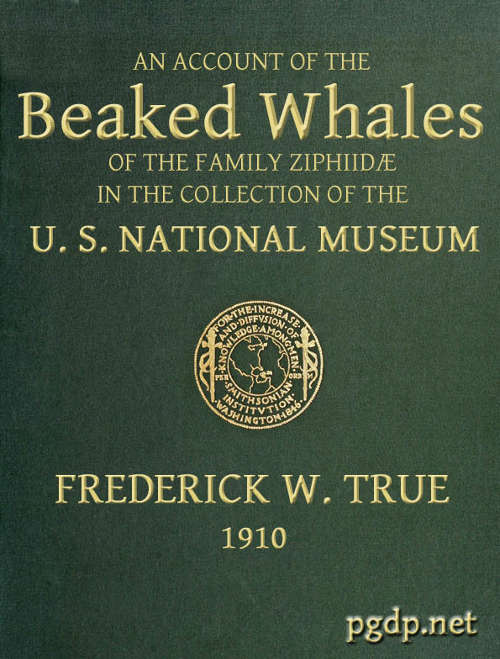 The Beaked Whales of the Family Ziphiidae&#10;An Account of the Beaked Whales of the Family Ziphiidae in the Collection of the United States Museum...