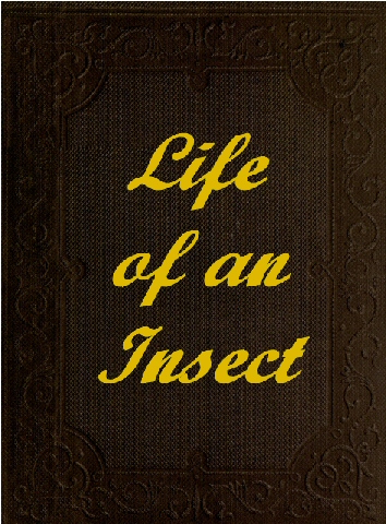 The Life of an Insect&#10;being a history of the changes of insects from the egg to the perfect being.