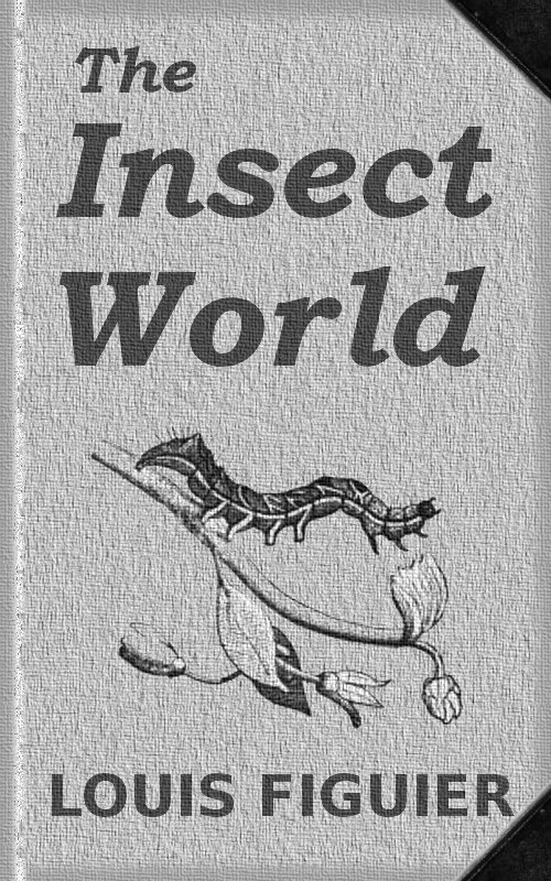The Insect World&#10;Being a Popular Account of the Orders of Insects; Together with a Description of the Habits and Economy of Some of the Most Interesting Species