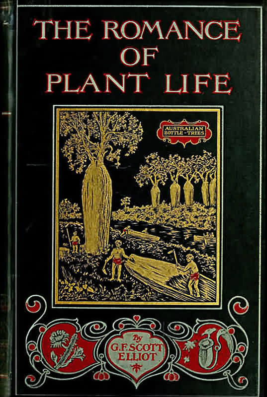 The Romance of Plant Life&#10;Interesting Descriptions of the Strange and Curious in the Plant World