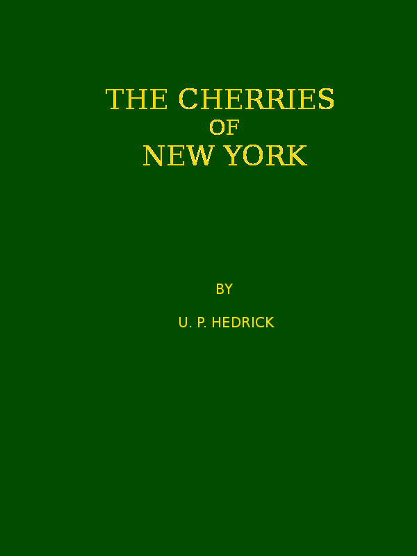 The cherries of New York