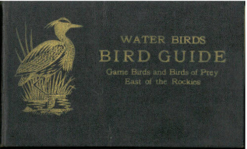 Bird Guide: Water Birds, Game Birds, and Birds of Prey East of the Rockies