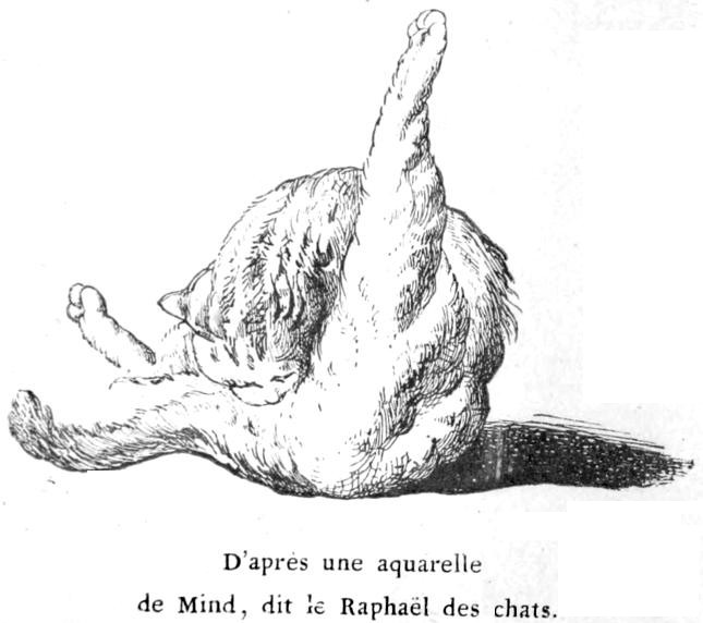 D'après une aquarelle de Mind, dit le Raphaël des chats.