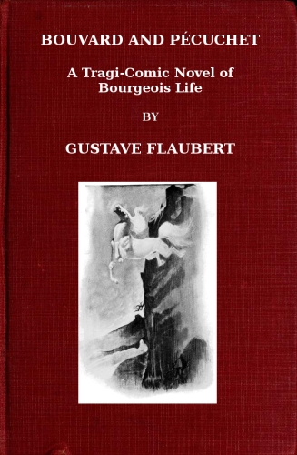 Bouvard ve Pécuchet: Burjuva Hayatının Traji-komik Bir Romanı, Bölüm 2