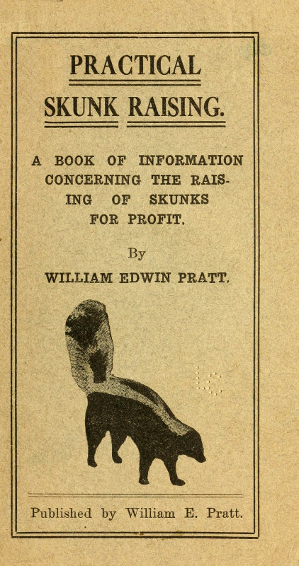 Practical Skunk Raising&#10;A Book of Information Concerning the Raising of Skunks for Profit