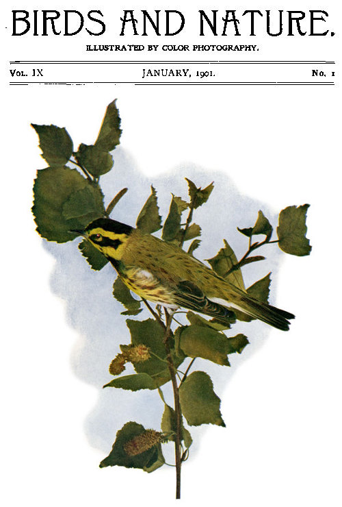 Kuşlar ve Doğa Cilt. 09 Sayı 1 [Ocak 1901]
