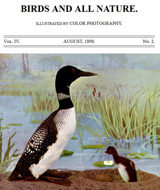 Birds and All Nature, Vol. 4, No. 2, August 1898&#10;Illustrated by Color Photography