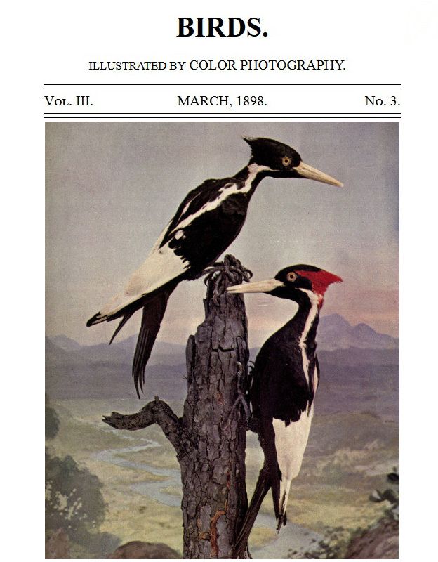 Birds and All Nature, Vol. 3, No. 3, March 1898&#10;Illustrated by Color Photography