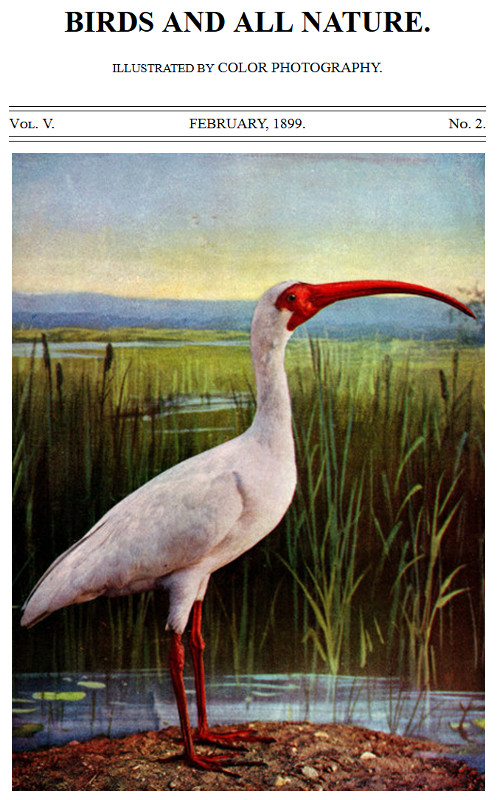 Birds and All Nature, Vol. 5, No. 2, February 1899&#10;Illustrated by Color Photography