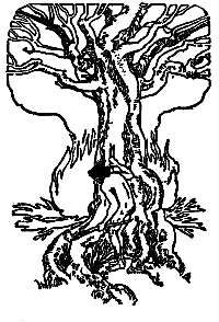 Tree woodcut