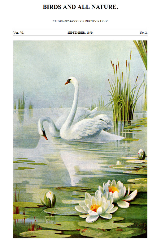 Birds and All Nature, Vol. 6, No. 2, September 1899&#10;Illustrated by Color Photography