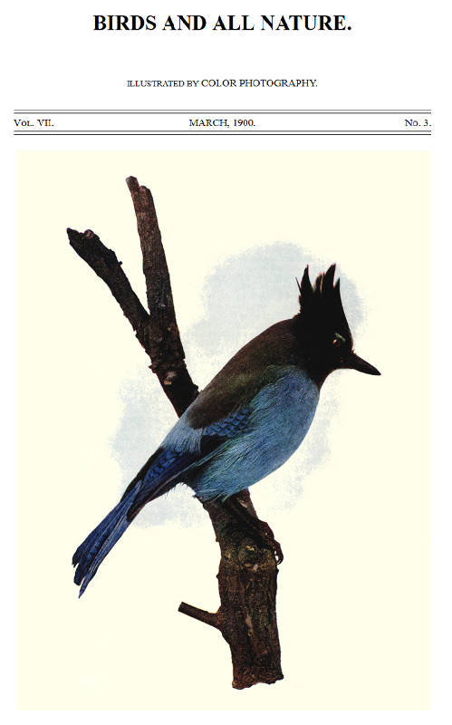 Birds and All Nature, Vol 7, No. 3, March 1900&#10;Illustrated by Color Photography