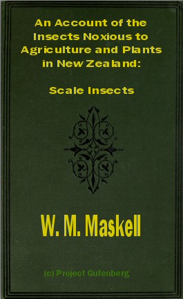 An Account of the Insects Noxious to Agriculture and Plants in New Zealand&#10;The Scale Insects (Coccididae)