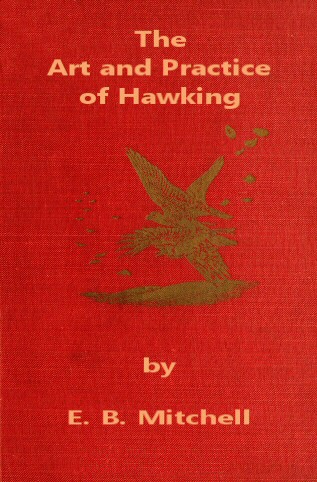 The Art and Practice of Hawking