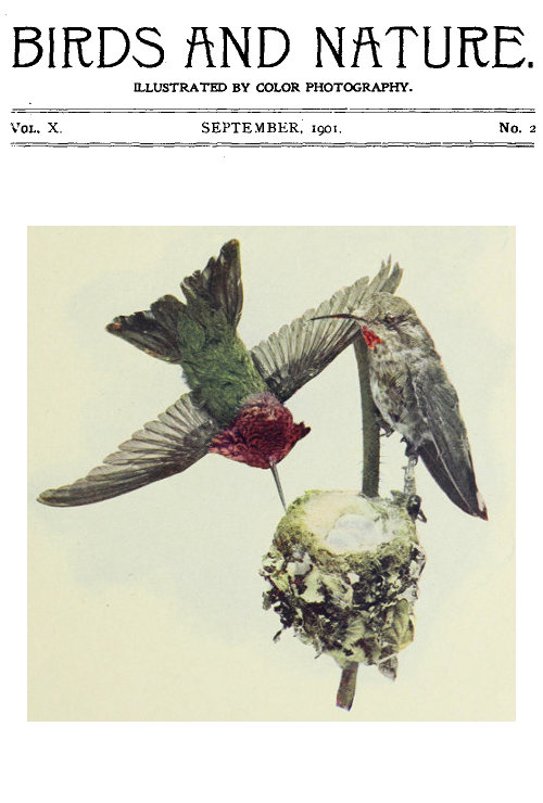 Birds and Nature, Vol 10 No. 2 [September 1901]