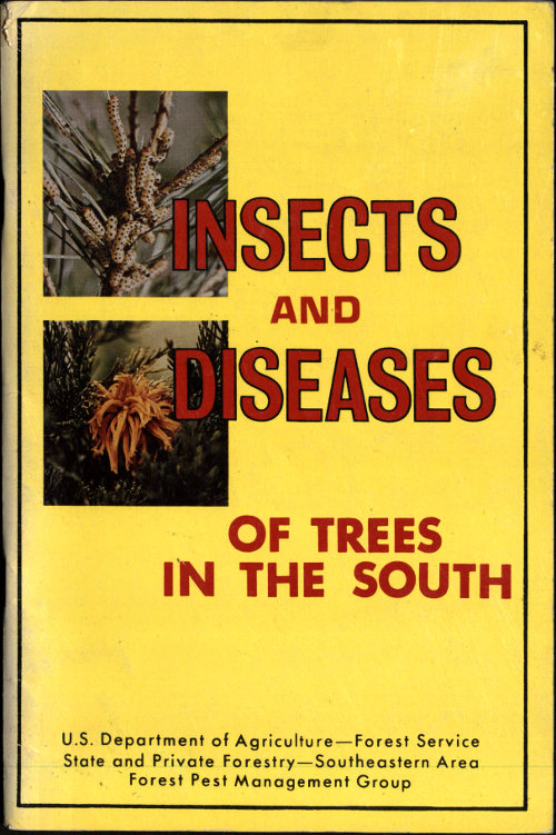 Insects and Diseases of Trees in the South