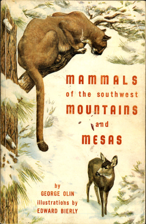 Mammals of the Southwest Mountains and Mesas