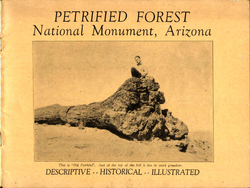 Petrified Orman Milli Anıtı, Arizona