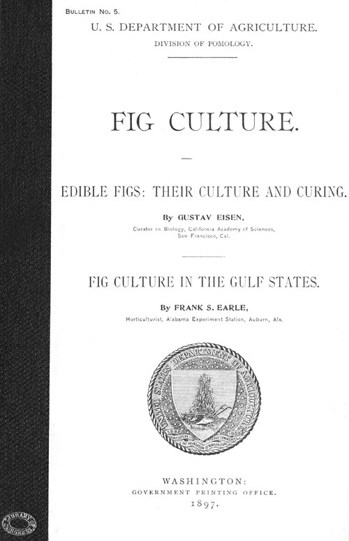 Fig Culture&#10;Edible Figs: Their Culture and Curing. Fig Culture in the Gulf States.