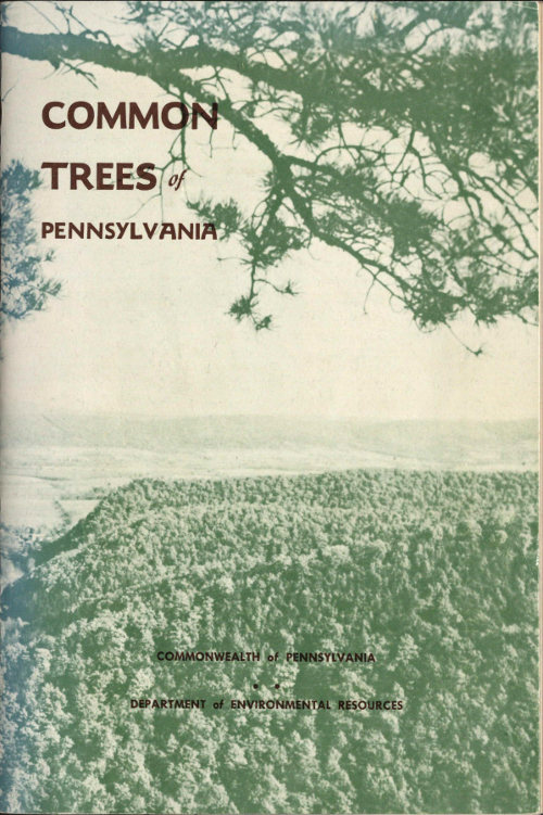 Pennsylvania'nın Ortak Ağaçları