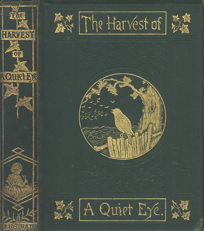 The Harvest of a Quiet Eye: Leisure Thoughts for Busy Lives