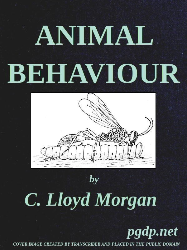 Animal Behaviour