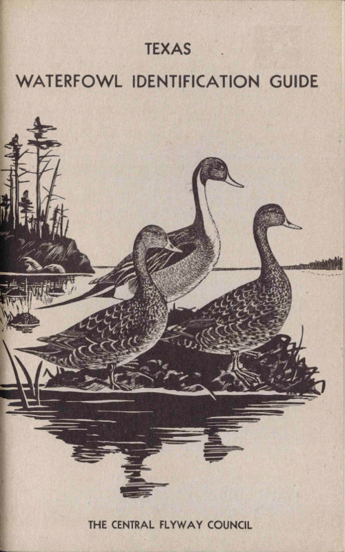 Waterfowl Identification Guide