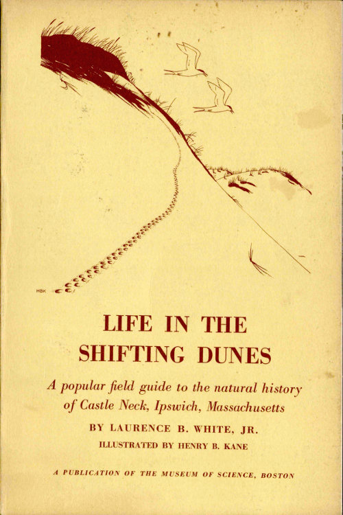 Life in the Shifting Dunes&#10;A popular field guide to the natural history of Castle Neck, Ipswich, Massachusetts
