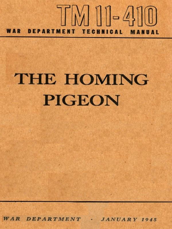 The Homing Pigeon