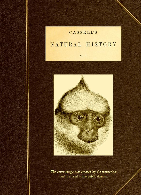 Cassell's Natural History, Vol. 1 (of 6)