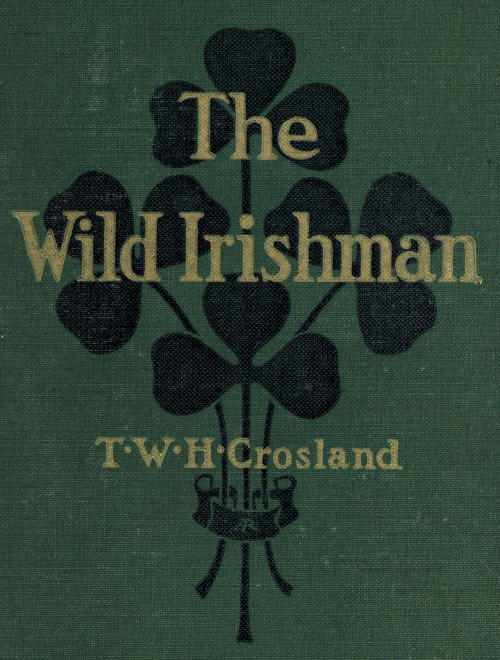 The Wild Irishman