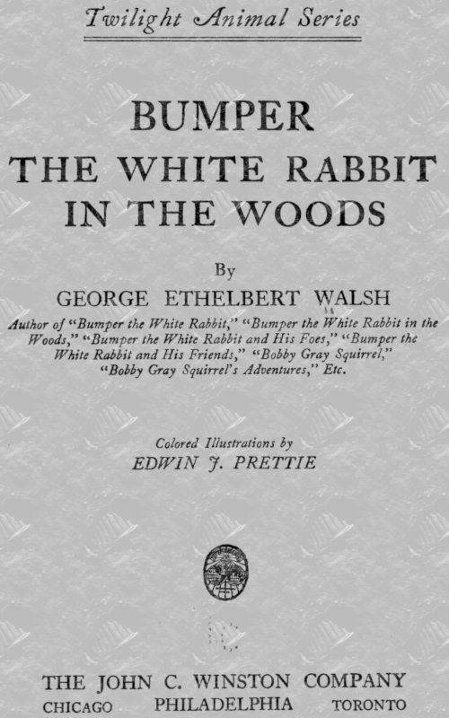 Bumper the White Rabbit in the Woods