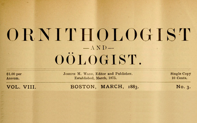 The Ornithologist and Oölogist. Vol. VIII No. 3, March 1883&#10;Birds: Their Nests and Eggs