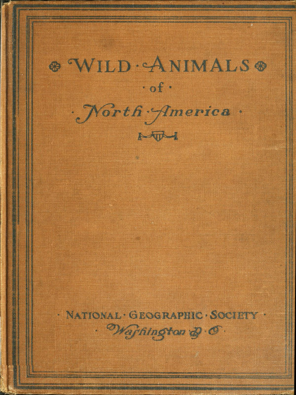 Wild Animals of North America&#10;Intimate Studies of Big and Little Creatures of the Mammal Kingdom