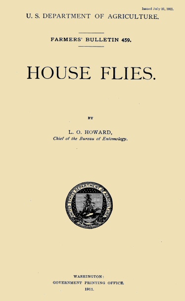 House Flies