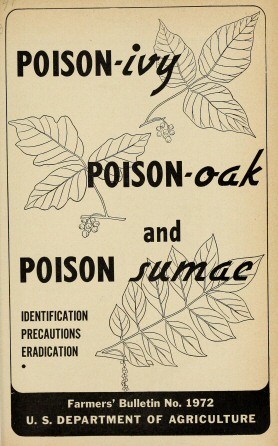 Poison-ivy, Poison-oak and Poison Sumac: Identification, Precautions and Eradication