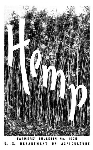 Hemp