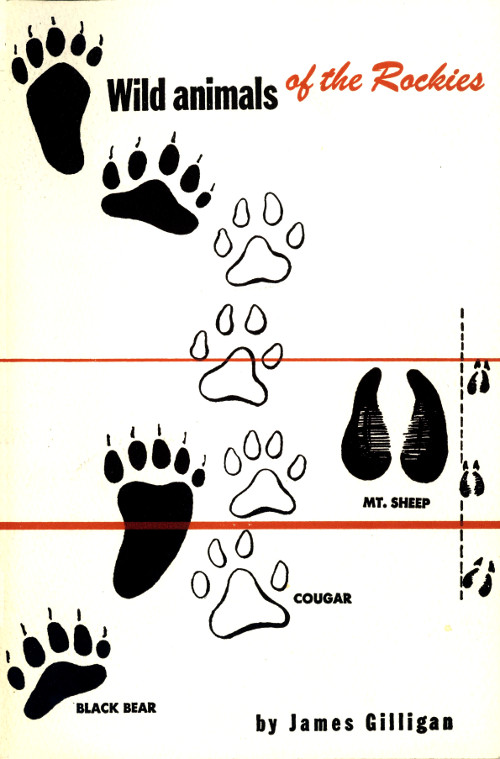 Wild Animals of the Rockies&#10;With a List of Mammals found in Rocky Mountain National Park